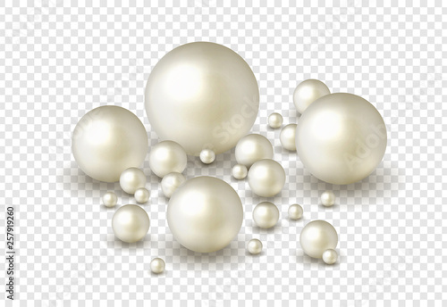 Murais de parede Nature ,sea pearl background with small and big white pearls isolated on transpa