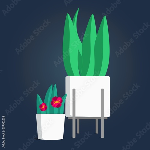 Houseplants in white flower pots, and a plant stand. Succulent indoor plants illustration on a dark background.