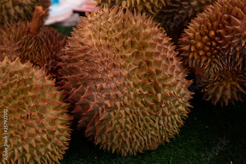 close up yellow thai durian on grass in market