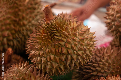 close up yellow thai durian in market