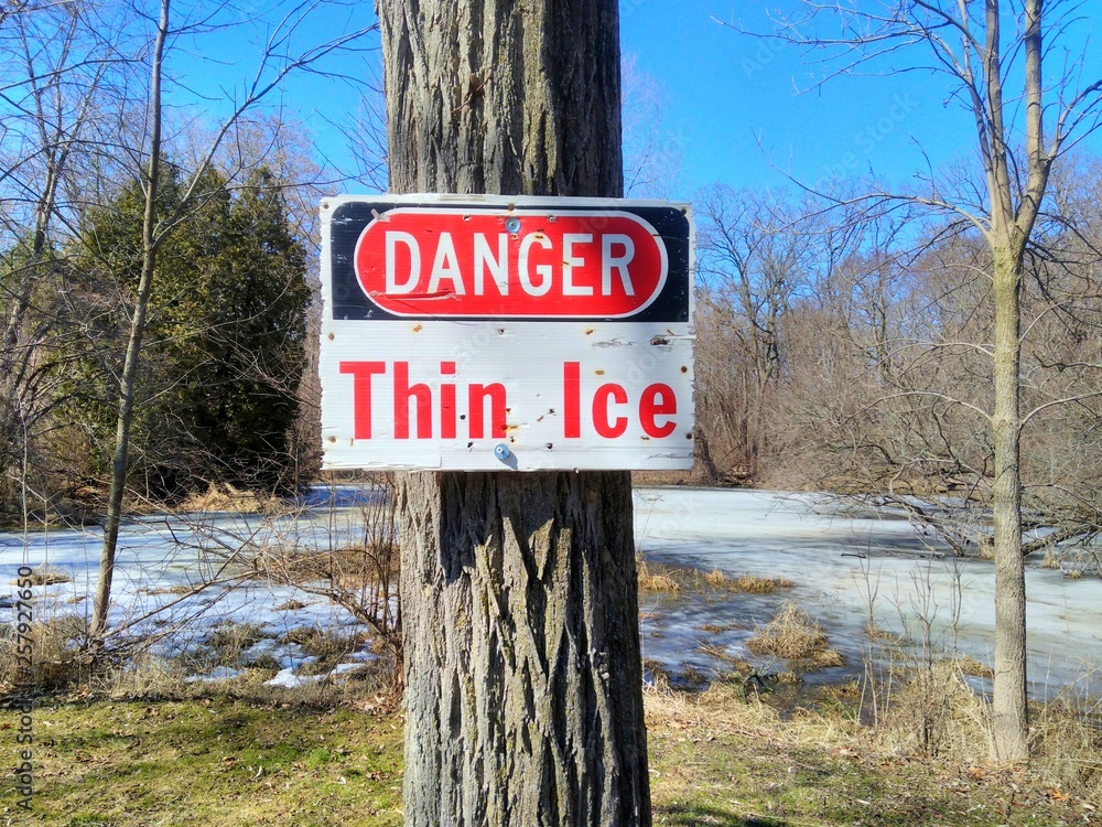 Fototapeta premium Thin Ice By Pond