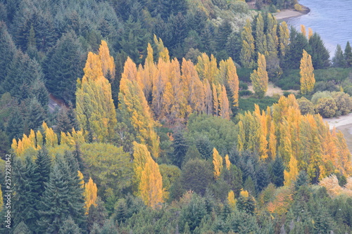 BARILOCHE (PAISAJE, NATURALEZA, RIO,..) © JORGE