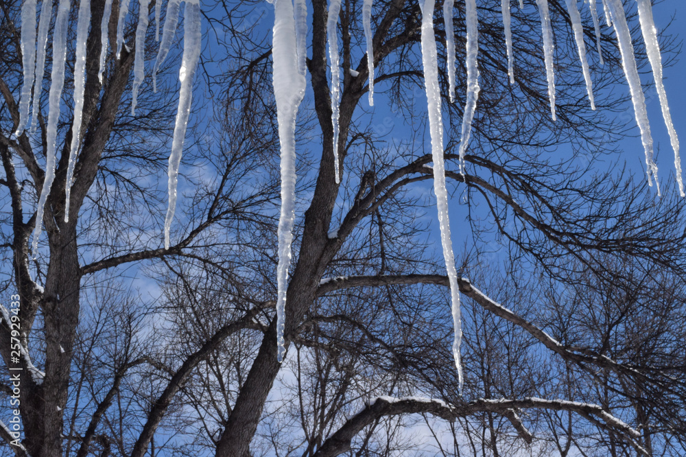 icicles blue sky icicles blue sky