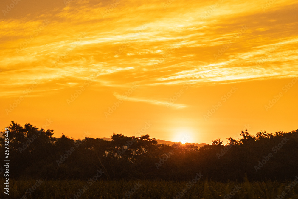 Amanecer amarillo