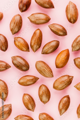 Not cleaned pecan nuts in the shell on pink background.