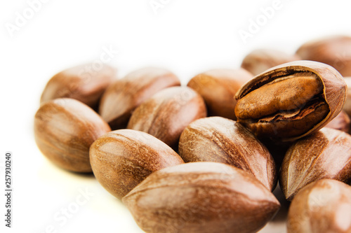 Not cleaned pecan nuts in the shell isolated on white.