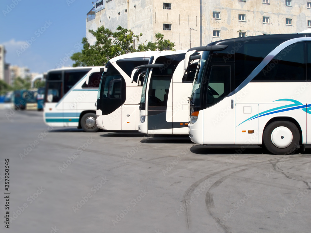 Fototapeta premium Buses in a row