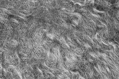 Foto goat wool shagoat wool shawlwl