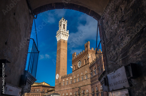 Palazzo Pubblico Palazzo Comunale of Siena and Torre del Mangia Tuscany during the summer