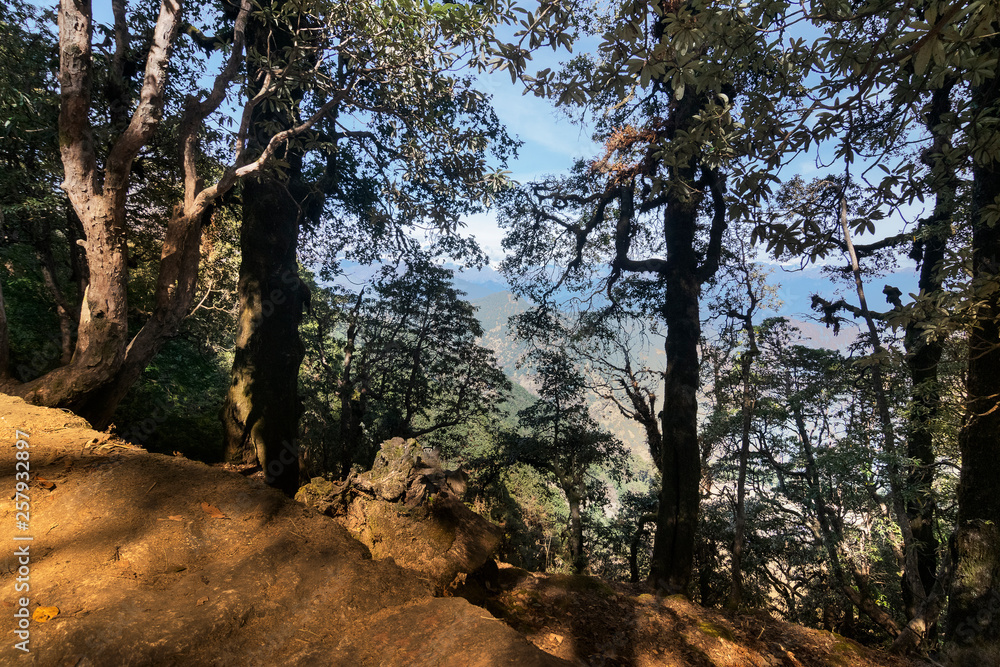 Fototapeta premium Trekking route to Tunganath, the highest Kedar