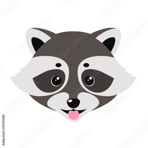 Cute raccoon showing tongue