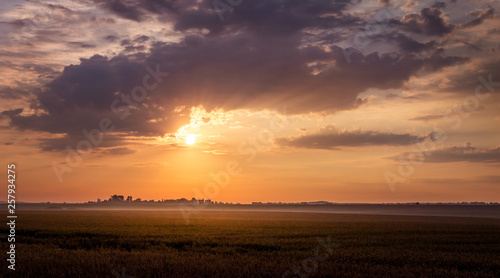 Scenic dark sky during the sunset. Landscape: sunset in the field_