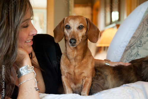 Smiling woman with dachshund dog lying on bed at home photo