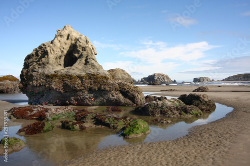 Fotografia, Obraz Volcanic Sea Stacks on the Oregon Coast at Low Tide