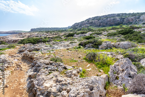 Cape Greco national forest park in February. Cyprus