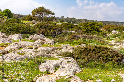 Cuadro en lienzo Cape Greco national forest park in February. Cyprus