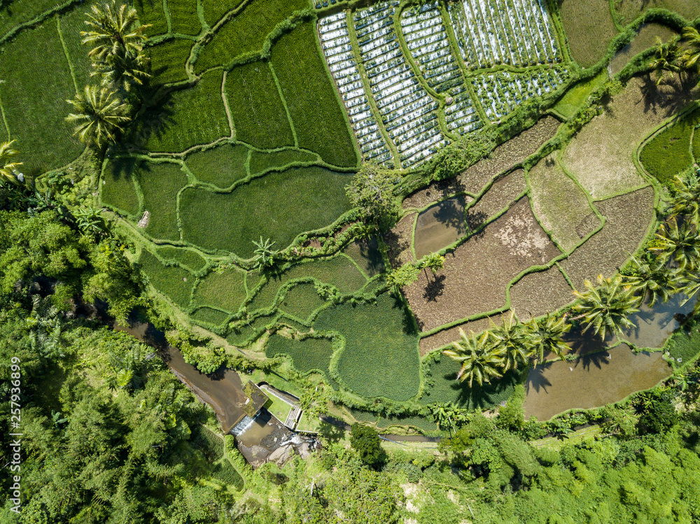 An aerial view of rice terrace fields in Lombok, Indonesia
