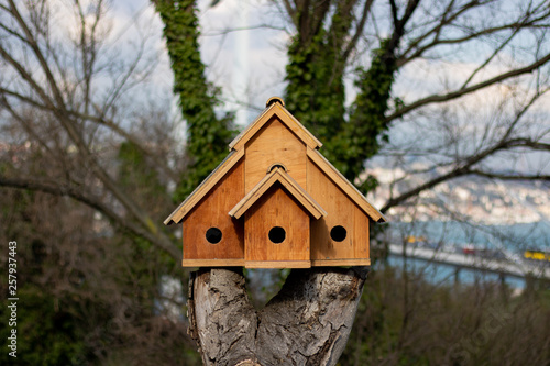 A bird house on a tree