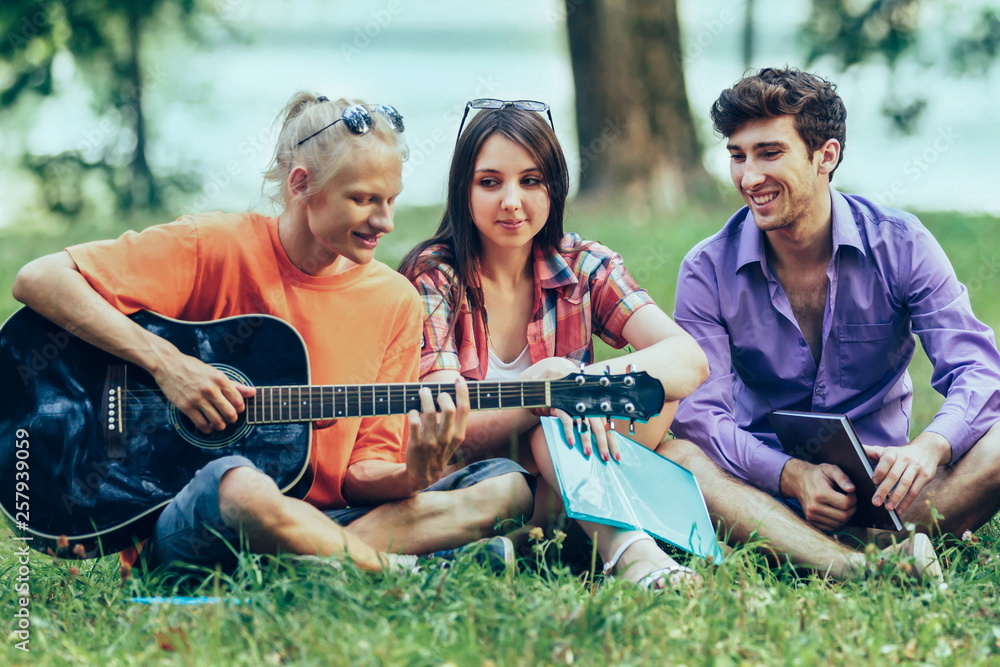 group of students with  guitar resting in the Park on  Sunny