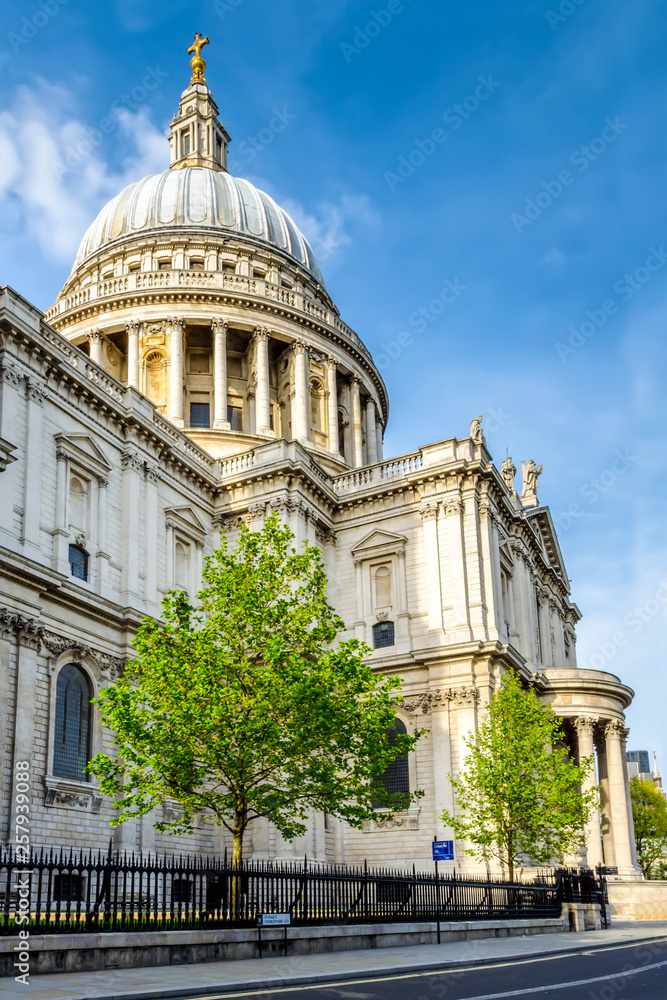 Obraz premium London city / England - May 2014: St. Paul's cathedral and empty street with green tree