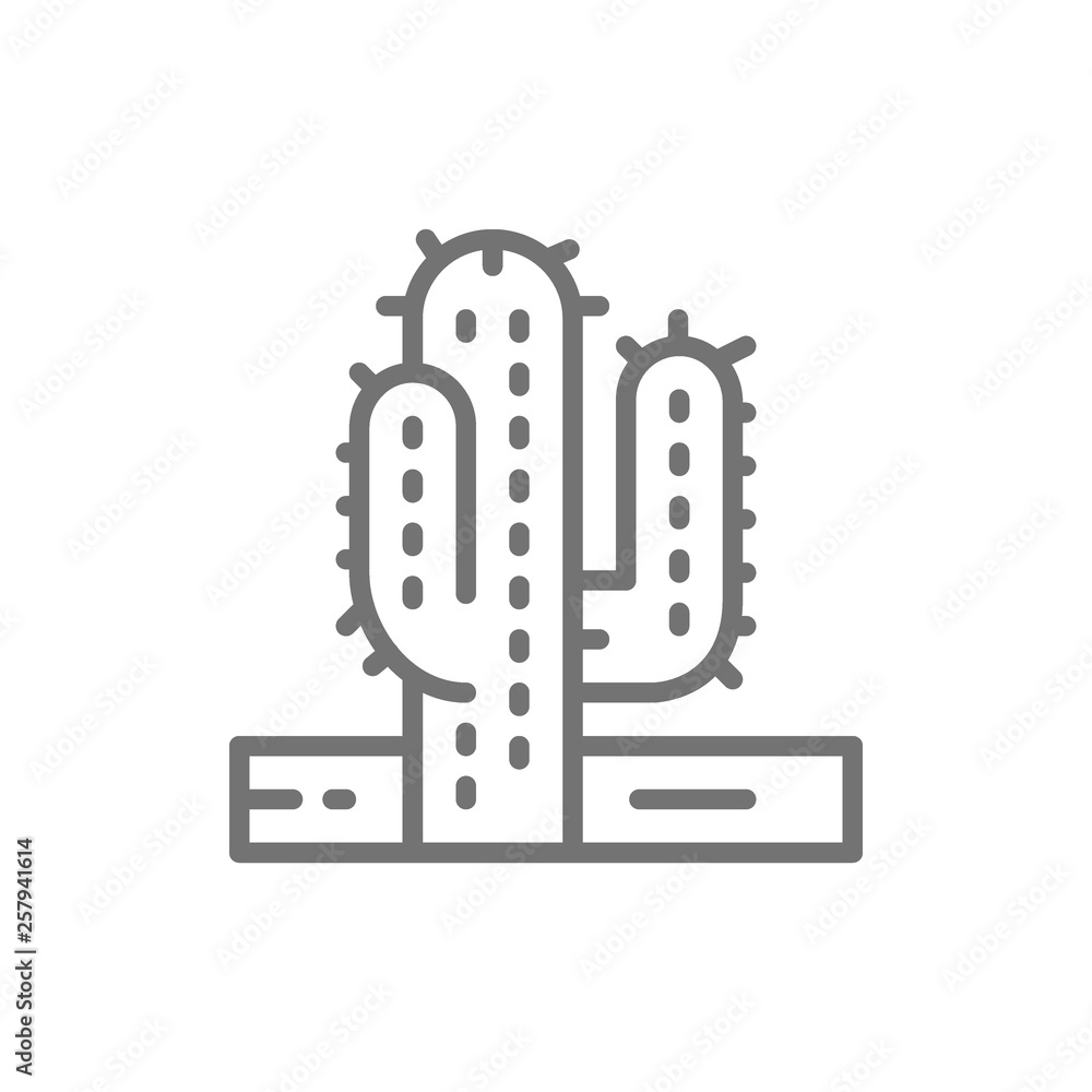 Cactus, desert tree line icon.