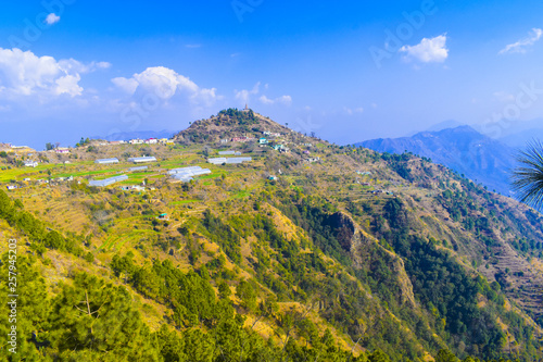Dharo  ki dhar village at  solan in india