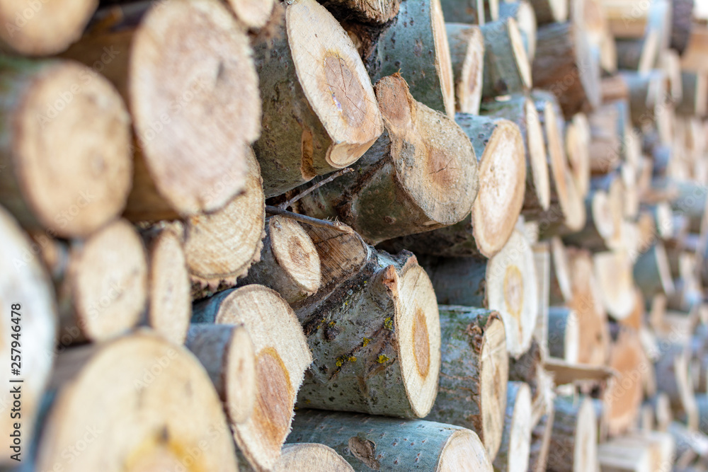 Firewood pile stacked chopped wood trunks, close-up wooden background Firewood pile stacked chopped wood trunks, close-up wooden background