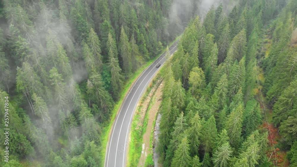 Ribbon of highway cuts through the trees. Carpathian Mountains of Ukraine Ribbon of highway cuts through the trees. Carpathian Mountains of Ukraine