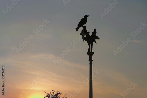 Bird on the top of the Kinnaree electric pole At sunset in Thailand