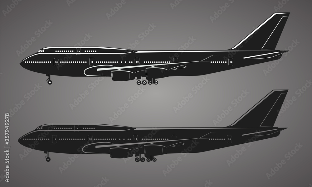 Large airliner vector illustration. Wide-body passenger aircraft