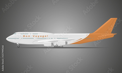 Large airliner vector illustration. Wide-body passenger aircraft
