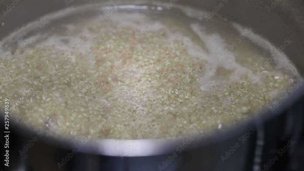 quinoa in water quinoa in water