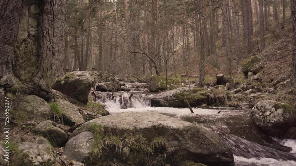 River Cega in Guadarrama. River crossing the forest. River Cega in Guadarrama. River crossing the forest.