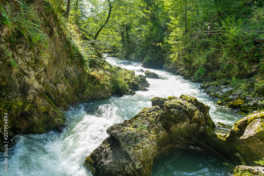 Fototapeta premium Raging river at Vintgar Gorge canyon. Slovenia