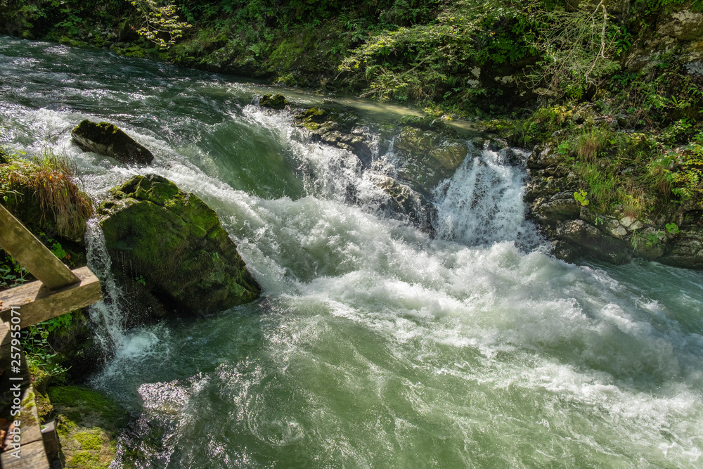 Raging river at Vintgar Gorge canyon. Slovenia Raging river at Vintgar Gorge canyon. Slovenia
