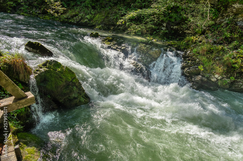 Raging river at Vintgar Gorge canyon. Slovenia