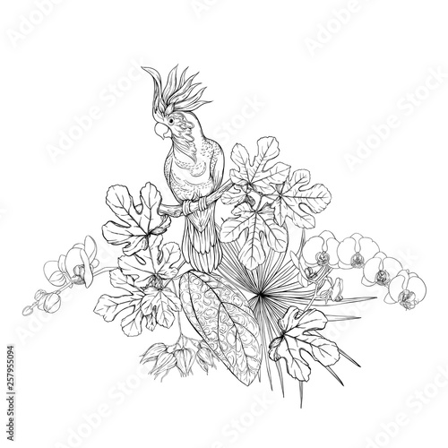 A composition of tropical plants, palm leaves