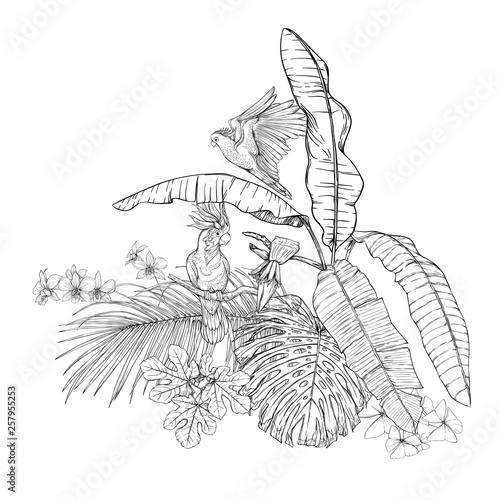 A composition of tropical plants, palm leaves