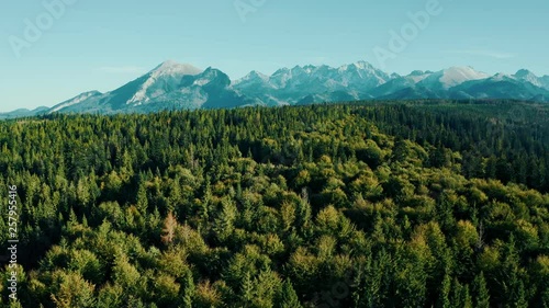 mountains on a sunny day with forest in colors of autumn