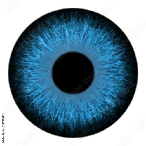Blue eye iris macro vector illustration