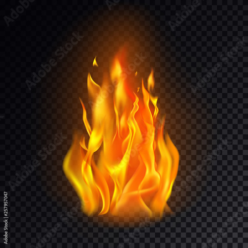 Isolated fire emoji on transparent background.