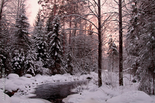 River flowing through the snowy forest landscape in sun set © puteli