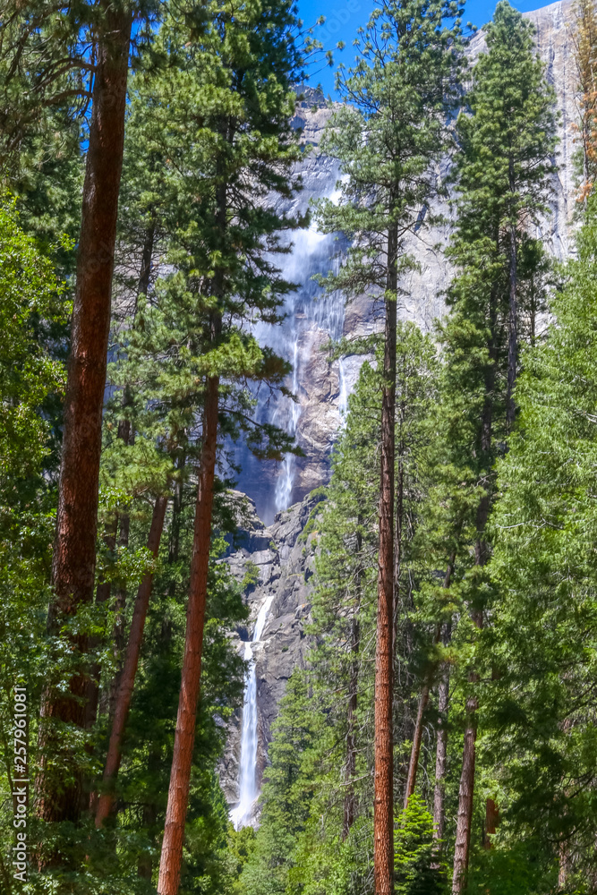Obraz premium Woods view of waterfall