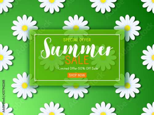 Summer sale background with daisy flowers
