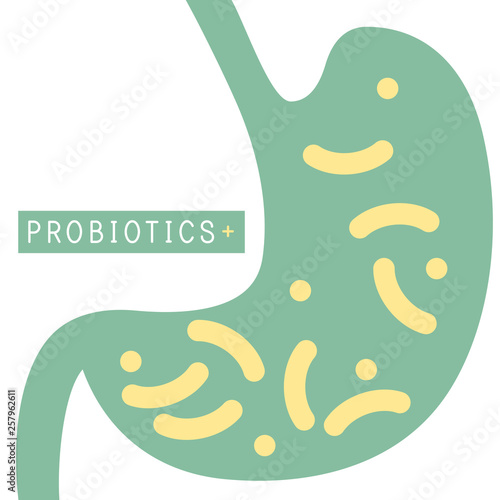Probiotics bacteria vector design. Concept of design with Lactobacillus Probiotic Bacteria. Design with Prebiotic healthy nutrition ingredient