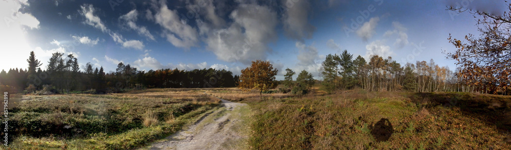Fototapeta premium Thülsfelder Talsperre