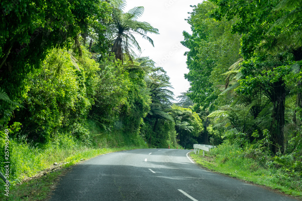 Empty Countryside Road in Waikato in New Zealand Empty Countryside Road in Waikato in New Zealand