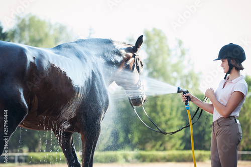 Young teenage girl equestrian washing her brown horse in shower