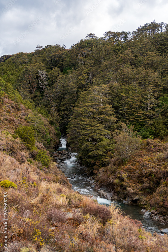 Wairere stream river in Tongariro National Park in New Zealand Wairere stream river in Tongariro National Park in New Zealand