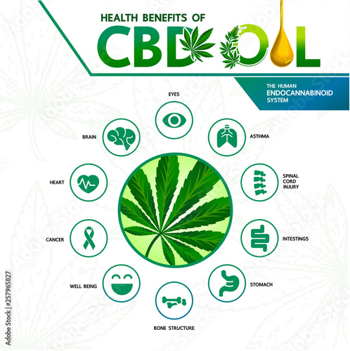 Cannabis benefits for health vector illustration.